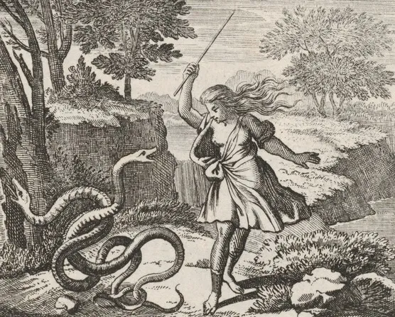 An engraving depicting Tiresias striking two mating snakes with a staff on Mount Cyllene in ancient Greece